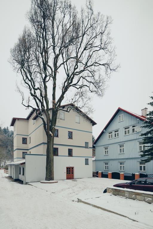 Pensjonat Limba Душники-Здруй Екстер'єр фото